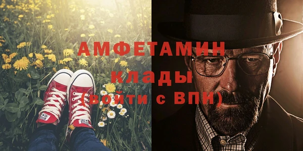 спиды Губаха