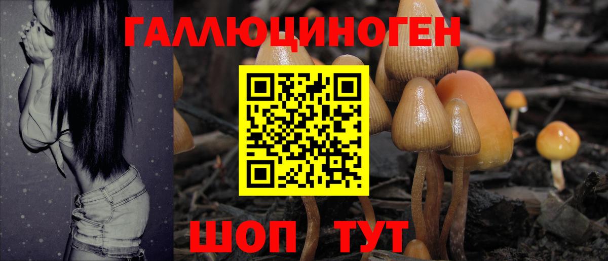 Галлюциногенные грибы прущие грибы Мурино
